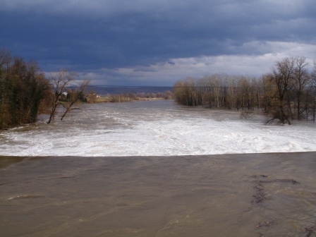 2010_12_09_kupa_05.jpg
